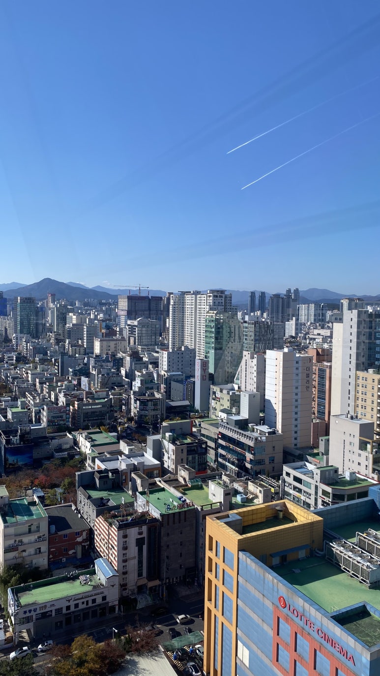 휠고고 이미지