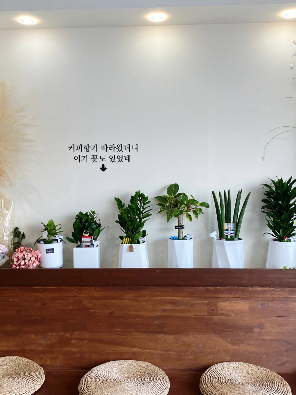 꽃을;보다 이미지