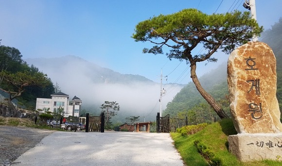 정원 컴퍼니 이미지