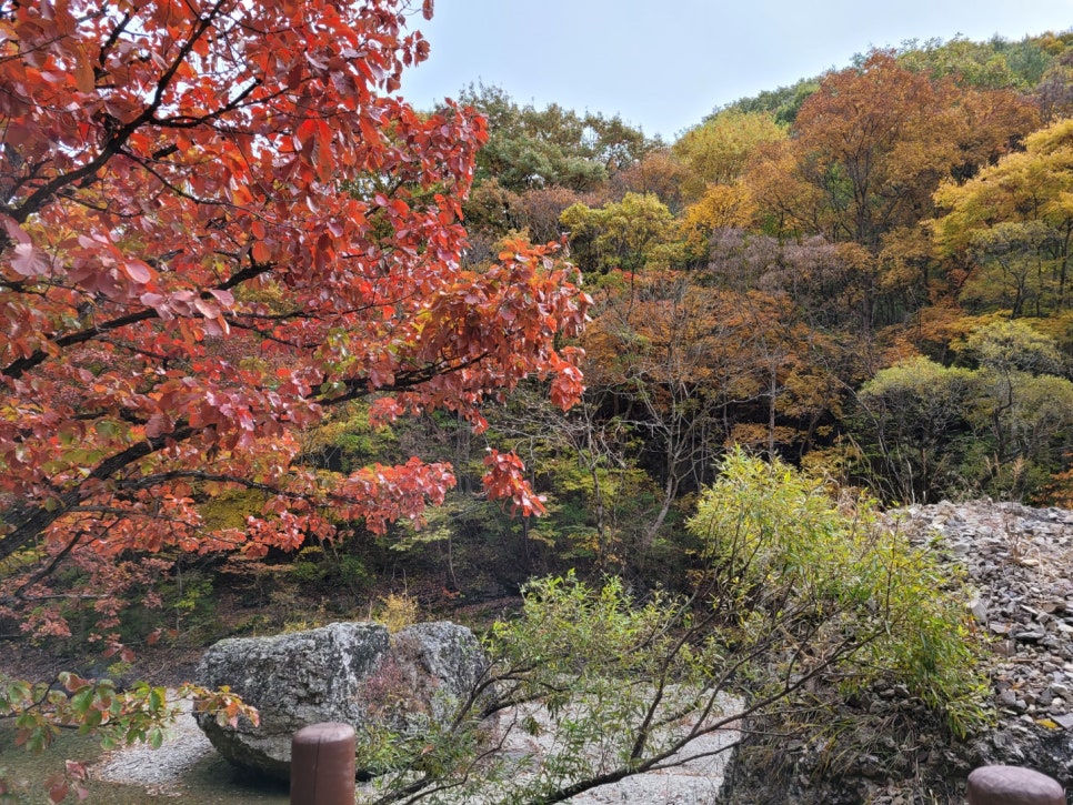청송필농원 이미지