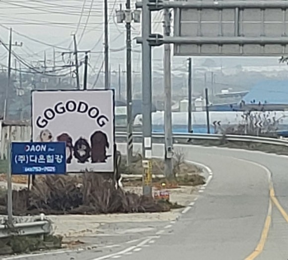 고고독 이미지