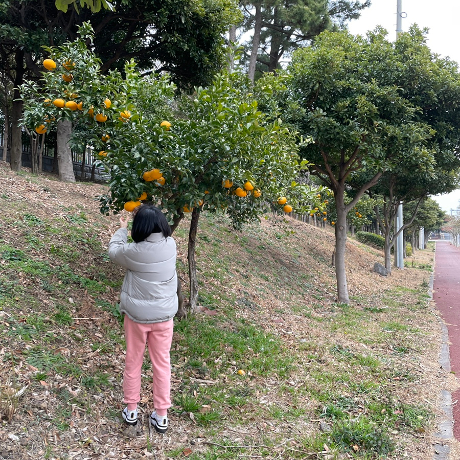 볼스프로덕션 이미지