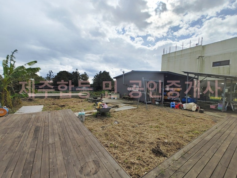 삼달리귤 이미지