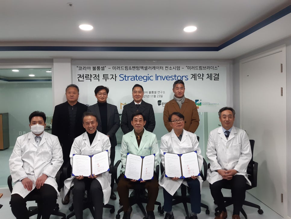 셀드림 이미지