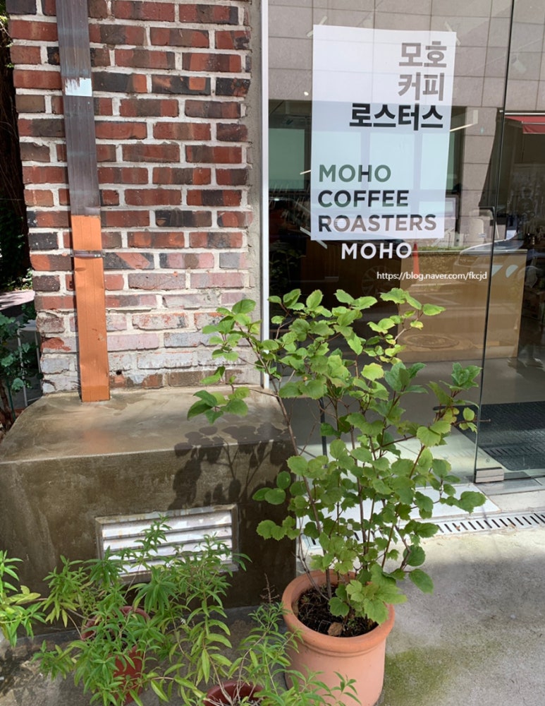 모호커피로스터스 이미지