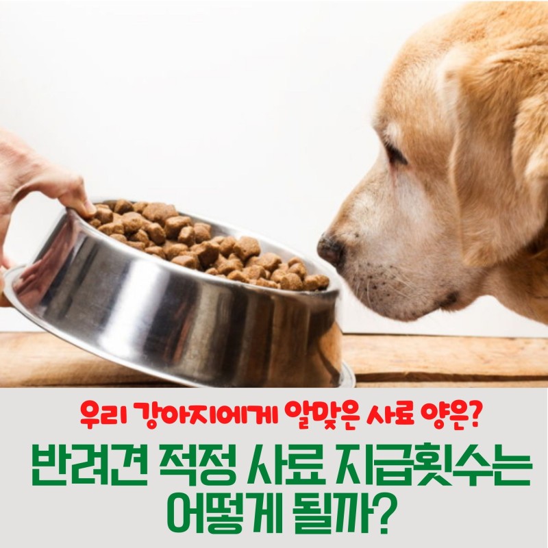 금천사료 이미지