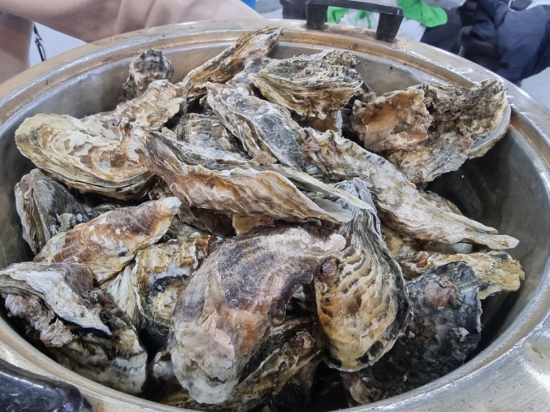 서해수산 이미지