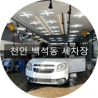 몬스터스팀세차 이미지