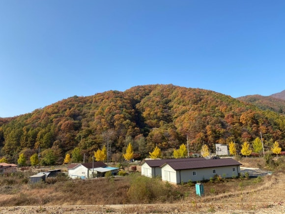 포안 이미지