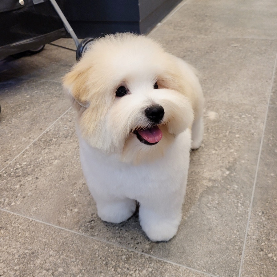 신세계미용 이미지