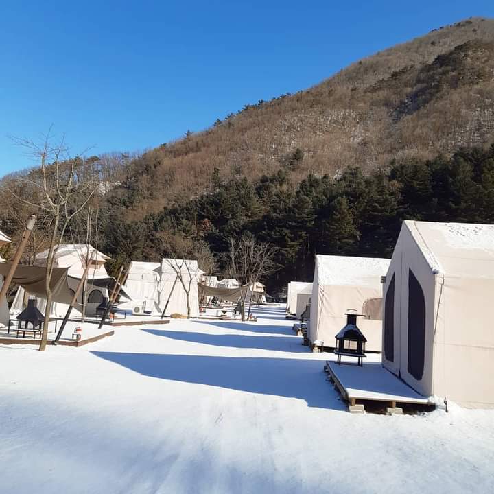 글램핑지점주 이미지