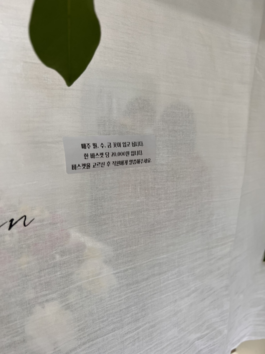 텍스트가든 이미지