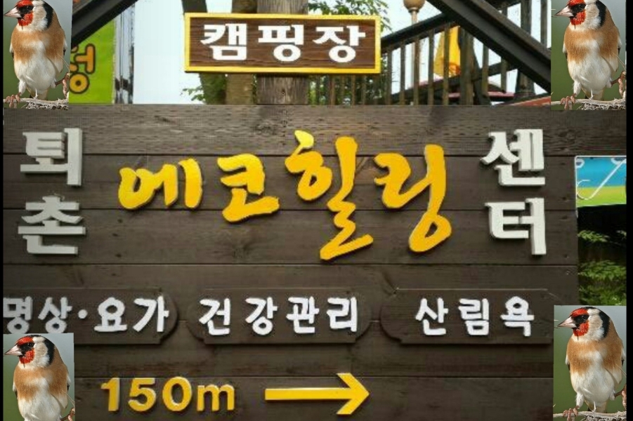 동양운동처방센터 이미지