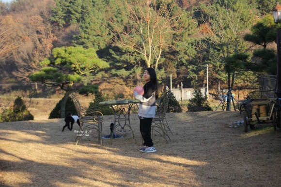 마이티바이 이미지