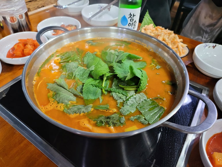 메기본가 이미지
