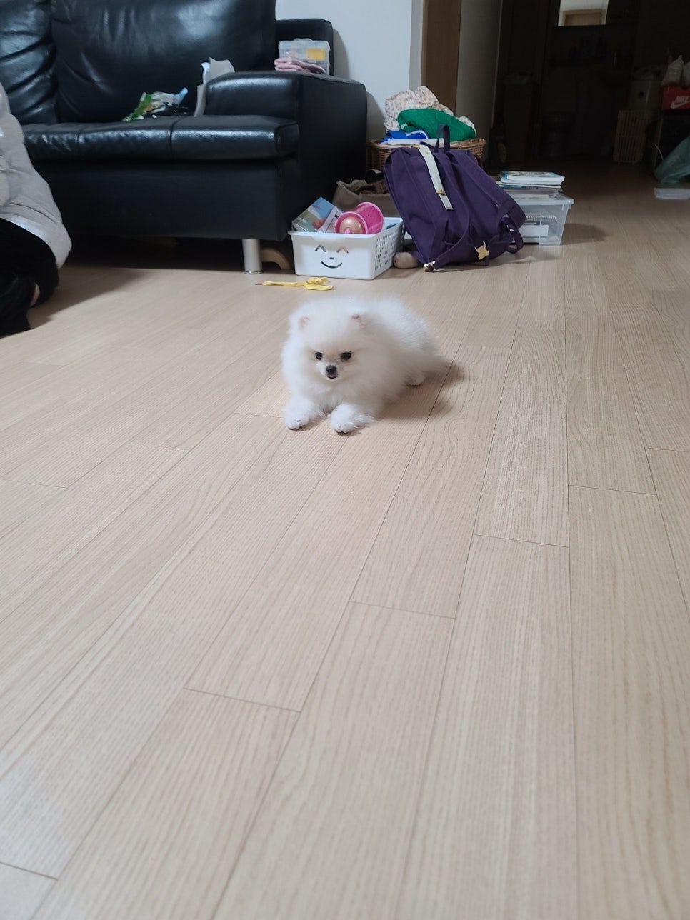 엄지손테라피 이미지