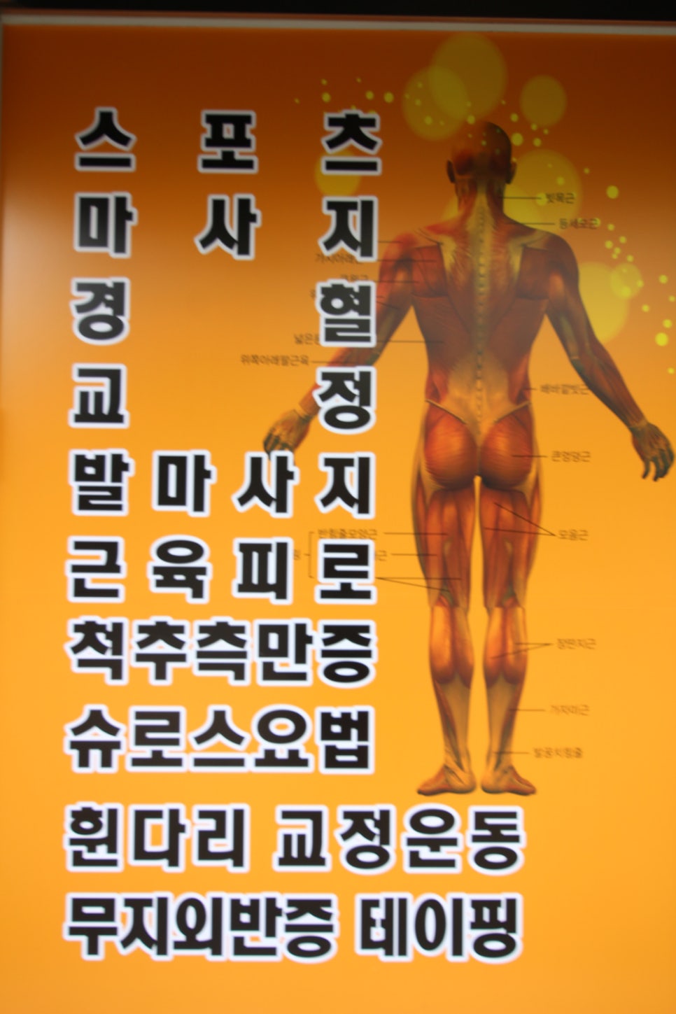 바른자세체형교정원 이미지