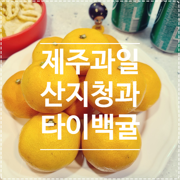 부부청과 이미지