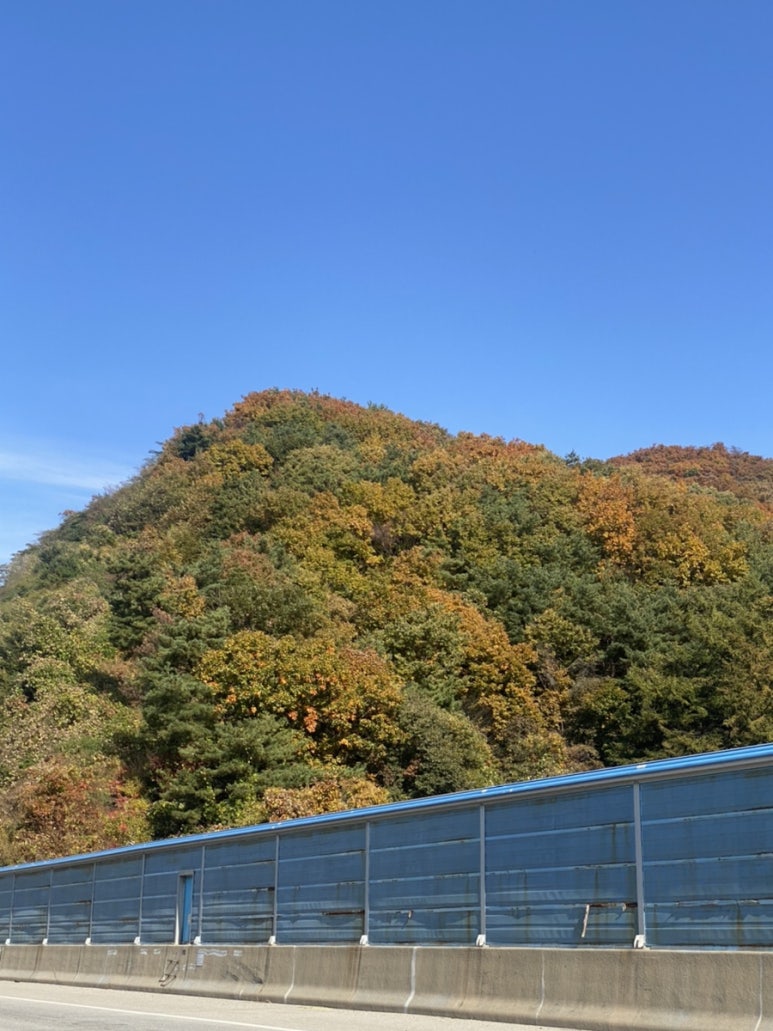 경강오리구이 이미지