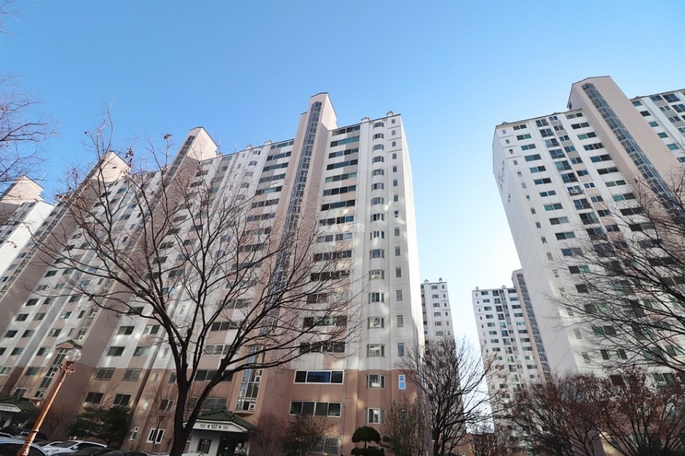 초록나라 이미지