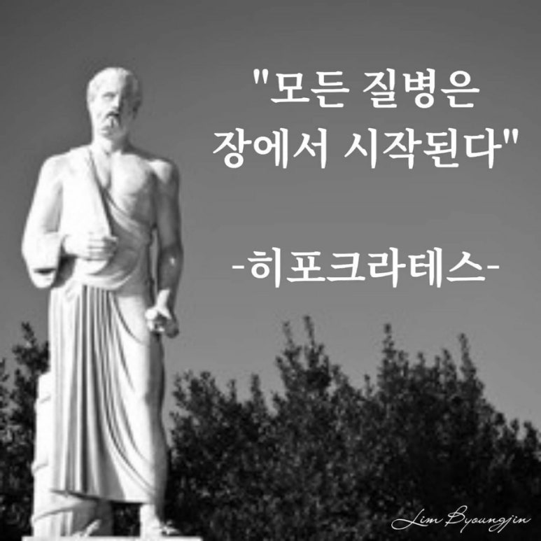 인셀덤 정윤희 이미지