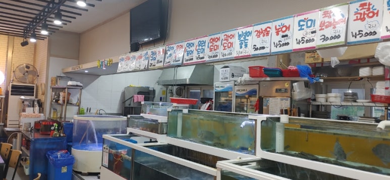 청춘회마차 이미지