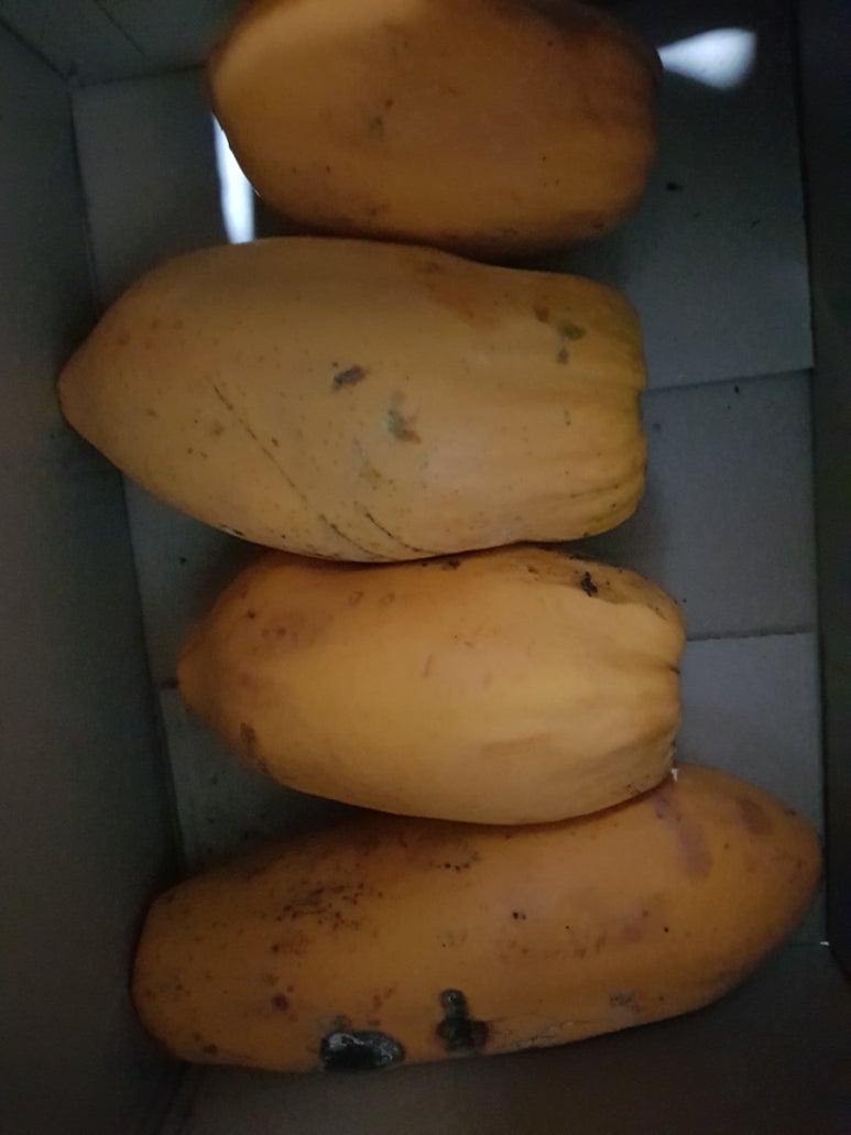 오행팜연수원 이미지