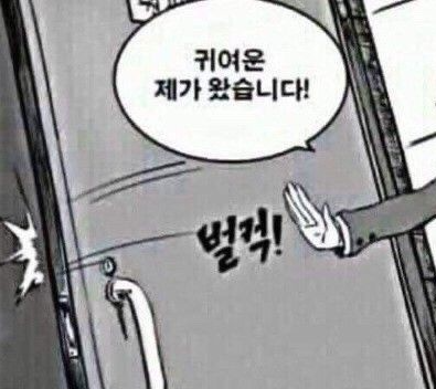 갈매기미소 이미지