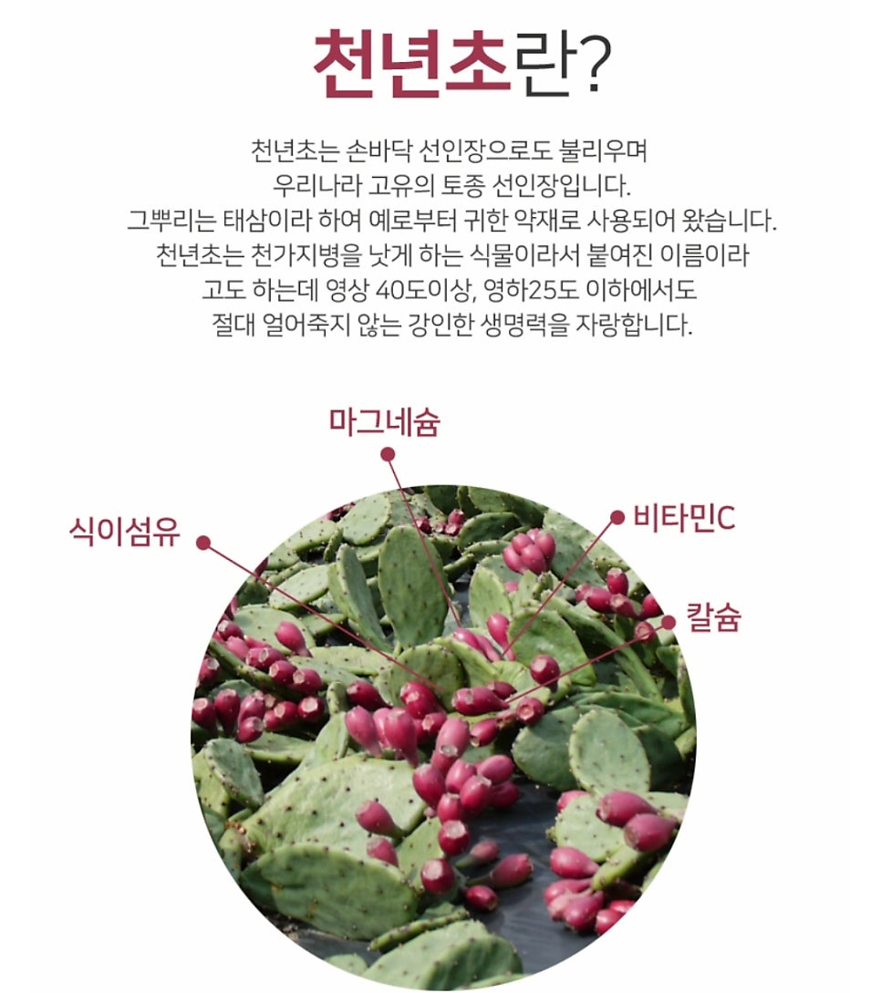 70인식품 이미지