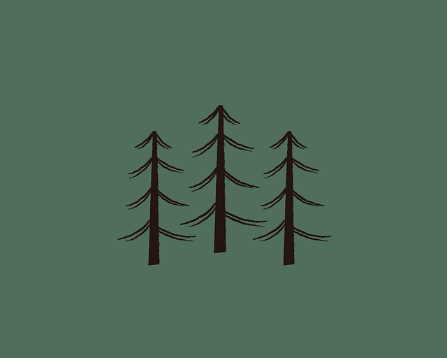 세영세무회계 이미지