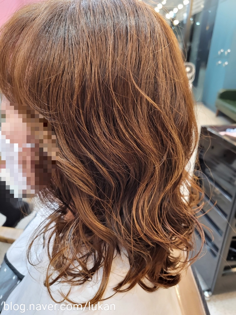 럭스그레이스 이미지