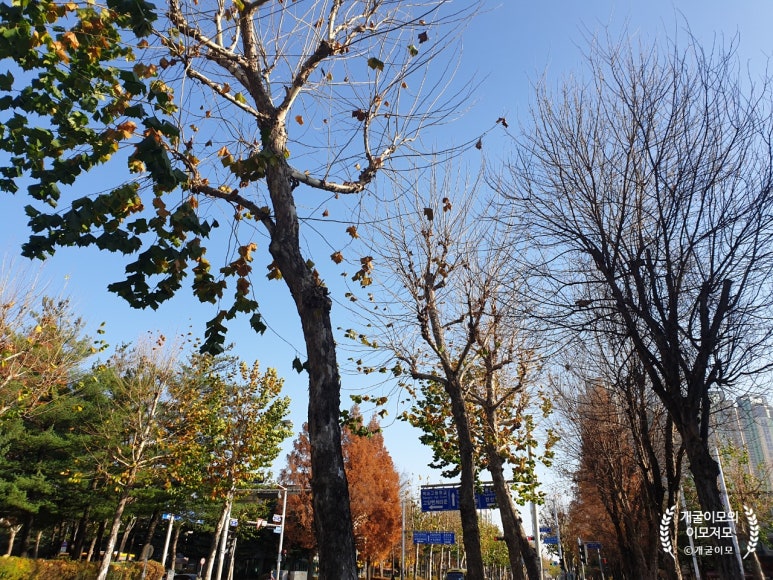 나무법무사사무소 이미지