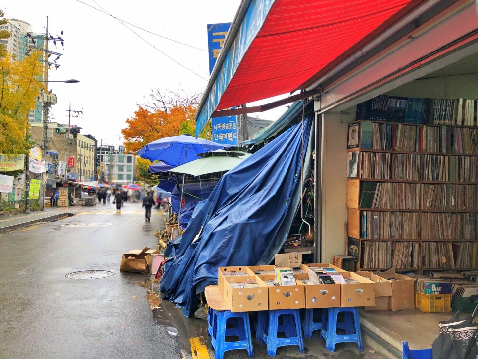 샵사구팔구 이미지
