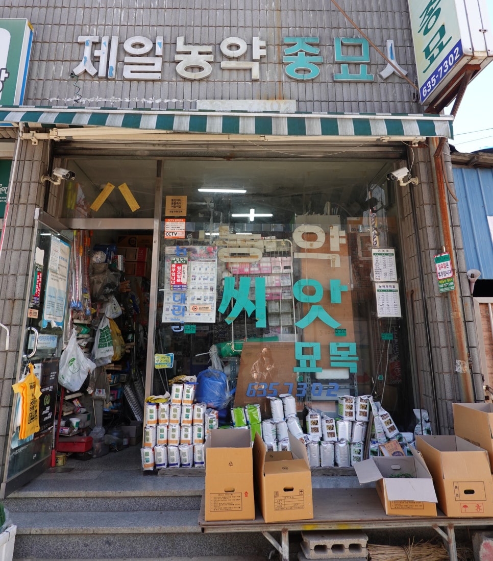 제일종묘사 이미지