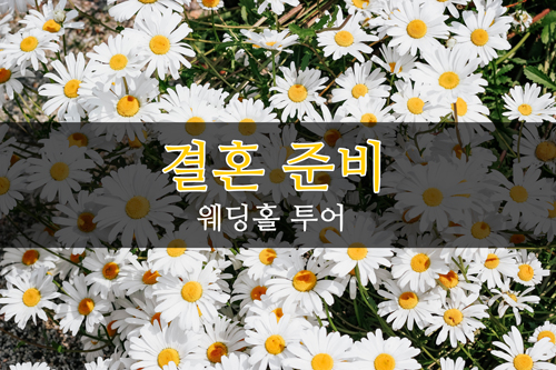(주) 아이티앤코 이미지