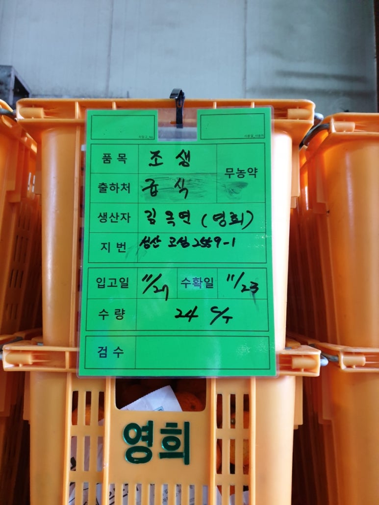 영희네감귤농장 이미지