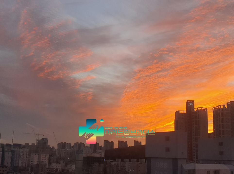 드림메디컬헬스케어 이미지
