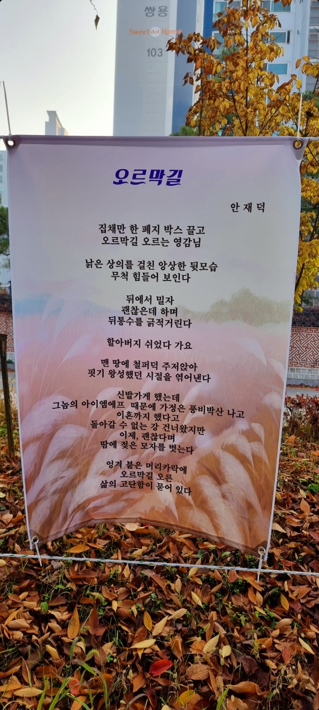 땀에프아이엔 이미지