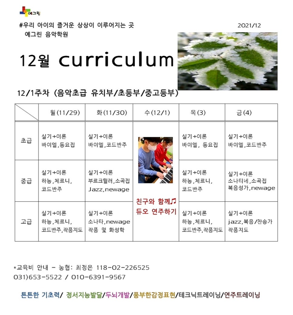 예그린음악학원 이미지