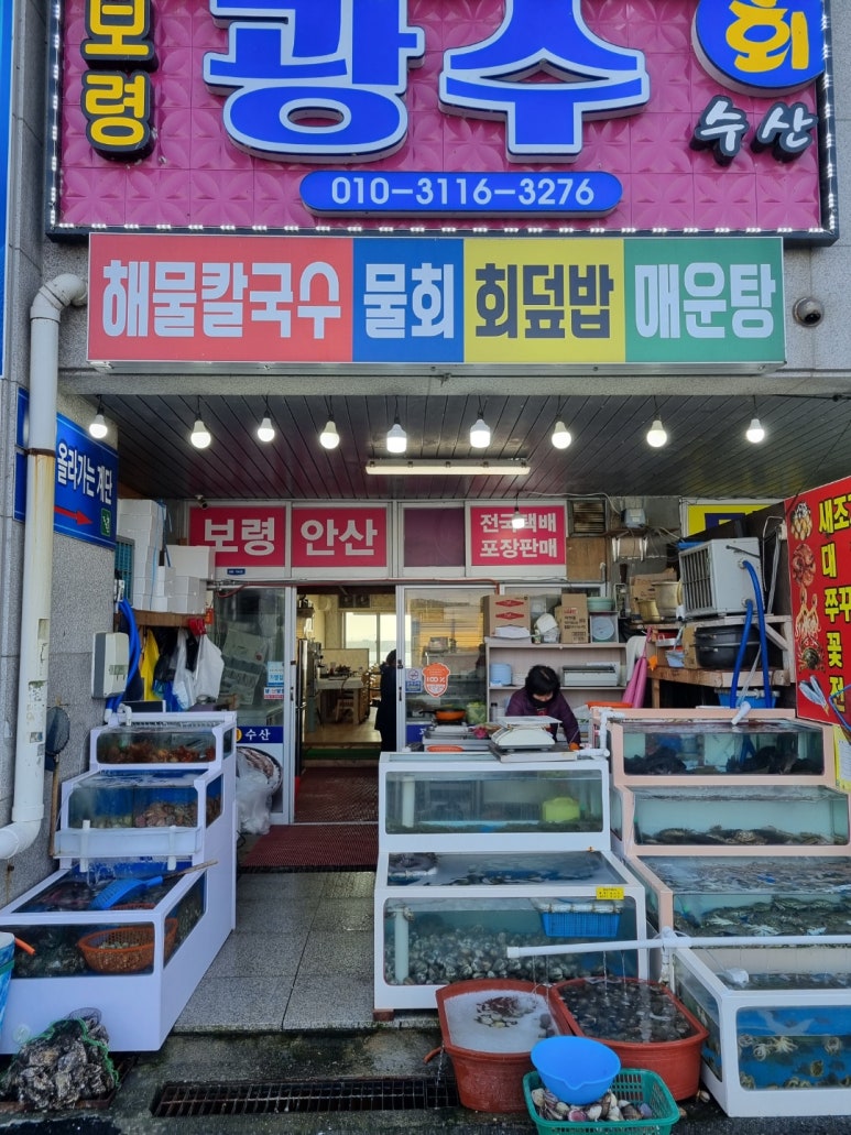 광수 새조개 이미지
