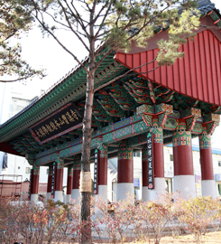 일심통상 이미지