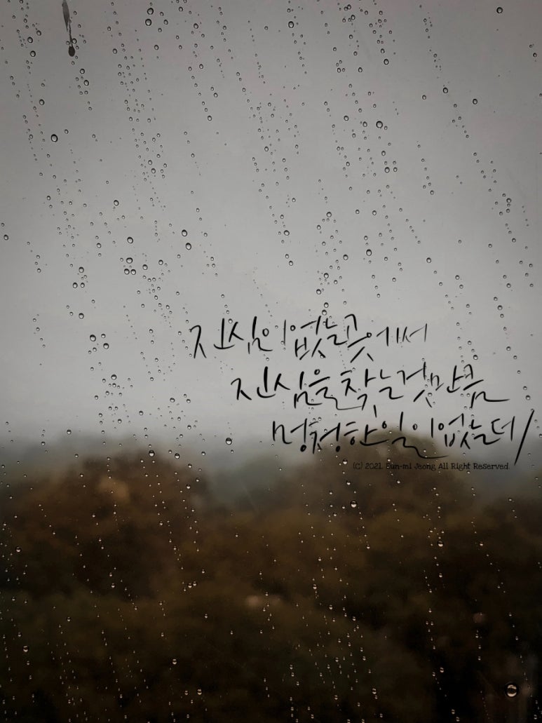 법무법인태경 이미지