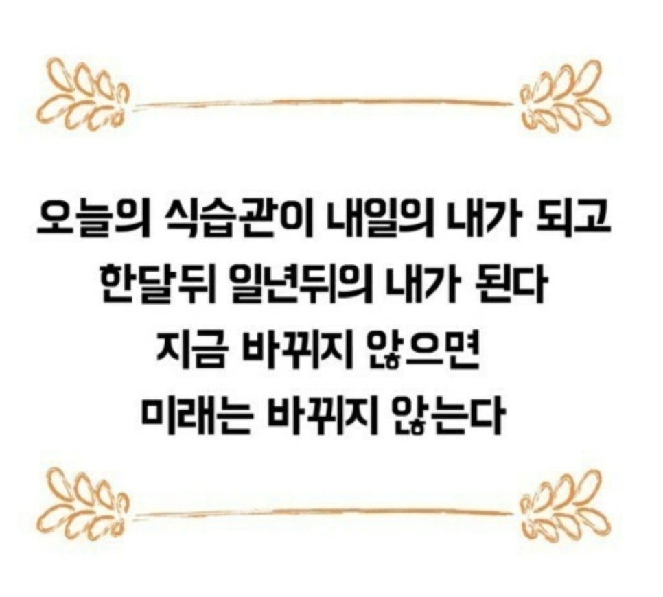 사우점핑다이어트 이미지