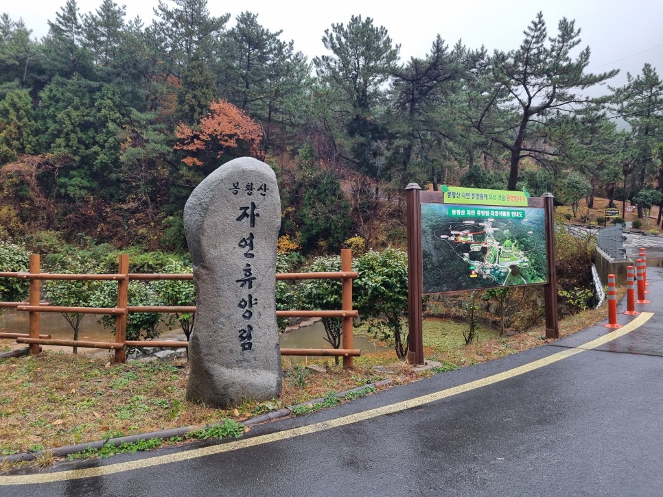 봉황산자연휴양림 이미지