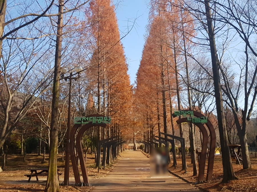 진원반찬 이미지