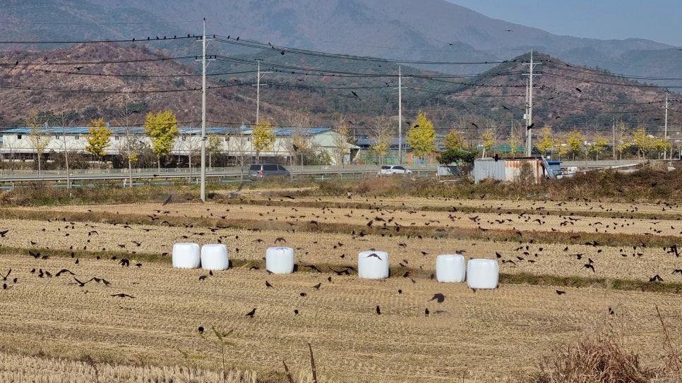 서종주 이미지