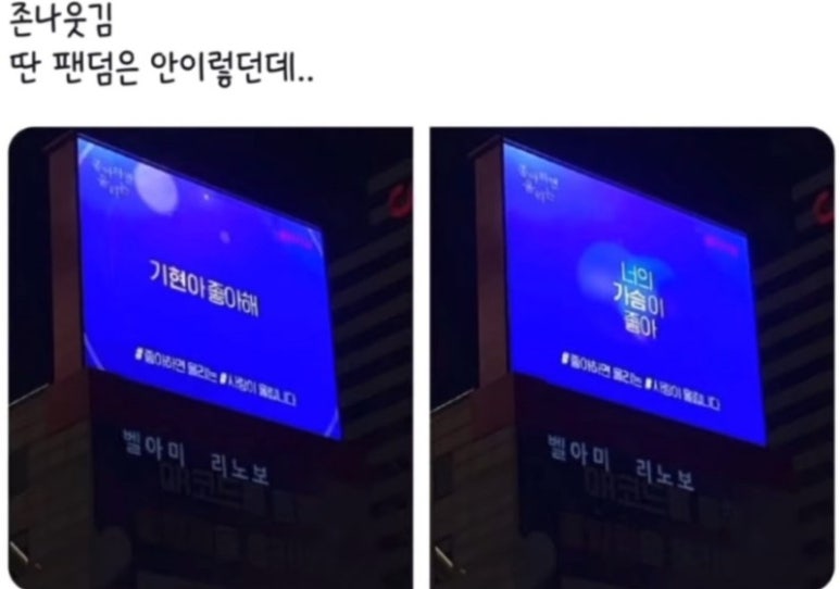 더 드리밍 이미지