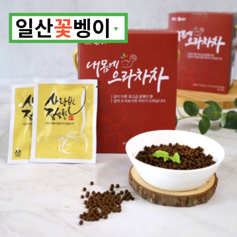 광명로또명당 이미지