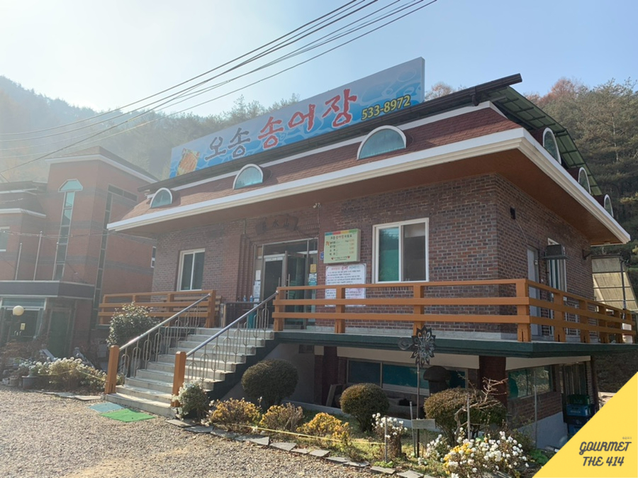 오송송어장 이미지