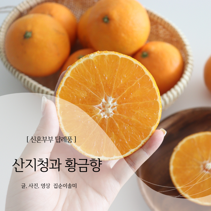 부부청과 이미지